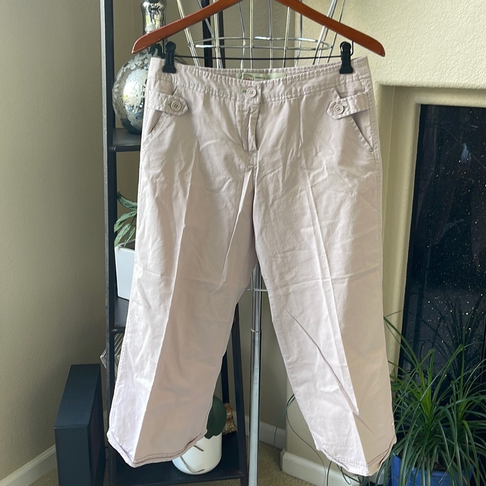 Anthropologie Sitwell pink cropped pants. EUC